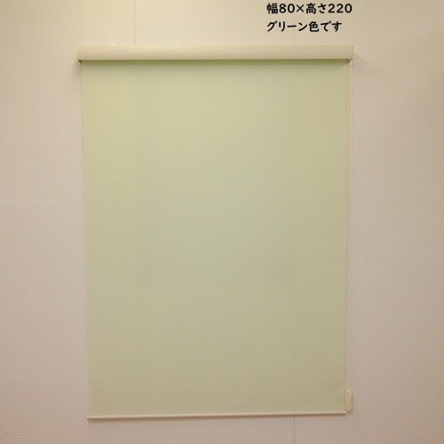 RSエクシヴ 無地 80×220 グリーン L3508 グリーン