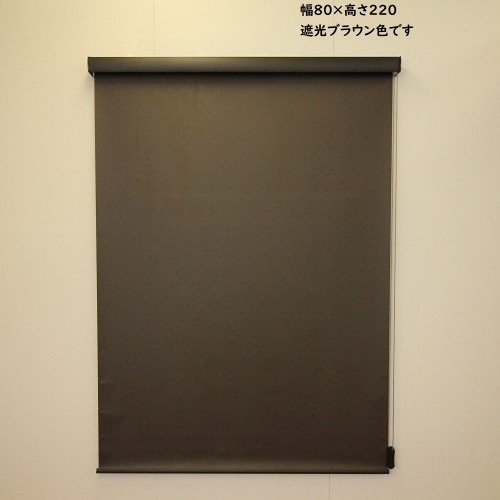 RSエクシヴ 遮光 80×220 遮光ブラウン L3530 ブラウン