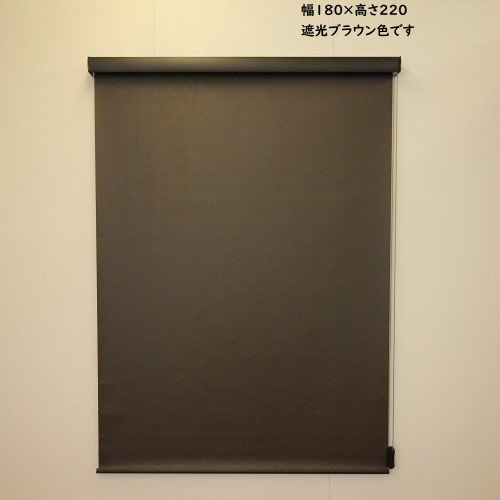 RSエクシヴ 遮光 180×220 遮光ブラウン L3540 ブラウン