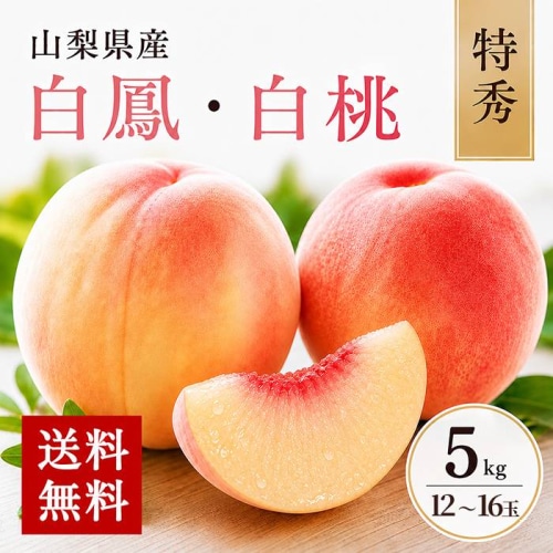 [予約直送]山梨県産 もも 特秀 白鳳・白桃等 約5kg 12～16玉 【綿半お中元】【7月より順次発送】【配送指定日不可】