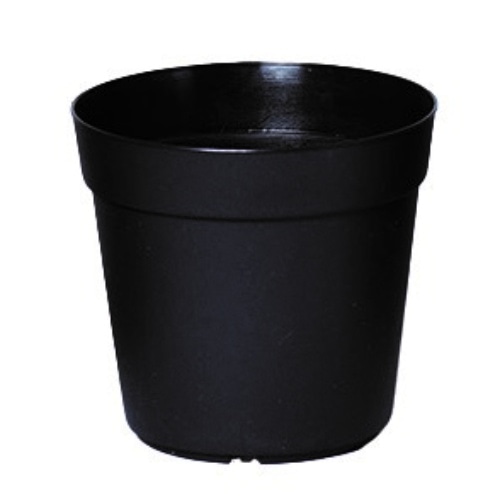 N－50 ブラック [1ポット]