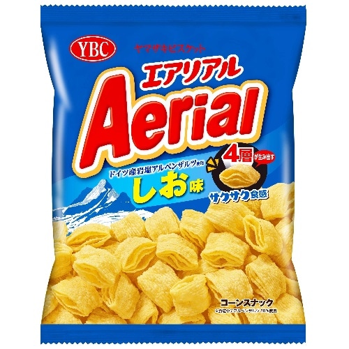 [取寄10]エアリアルドイツ産岩塩アルペンザルツ使用しお味 [1袋][4903015560216]