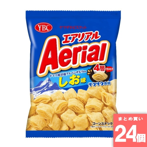 [取寄10][まとめ買い]【24個セット】エアリアルドイツ産岩塩アルペンザルツ使用しお味 65g [4903015560513]