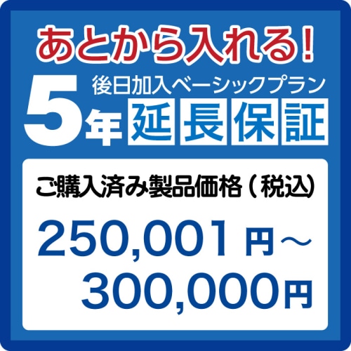 延長保証5年(後日加入)　ご購入済み製品価格(税込)250001円－300000円 AE250001