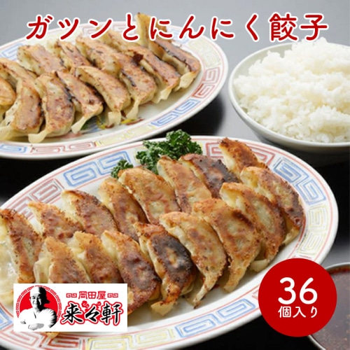 [冷凍][直送3]手作り やみつき餃子 36個入り 約4人前