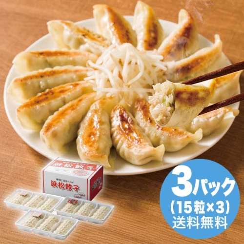 お歳暮 浜松餃子 [冷凍][直送商品](9808-039)