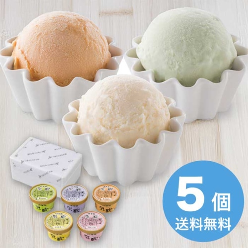 お歳暮 乳蔵 北海道アイスクリーム5種5個 [冷凍][直送商品](9806-059)