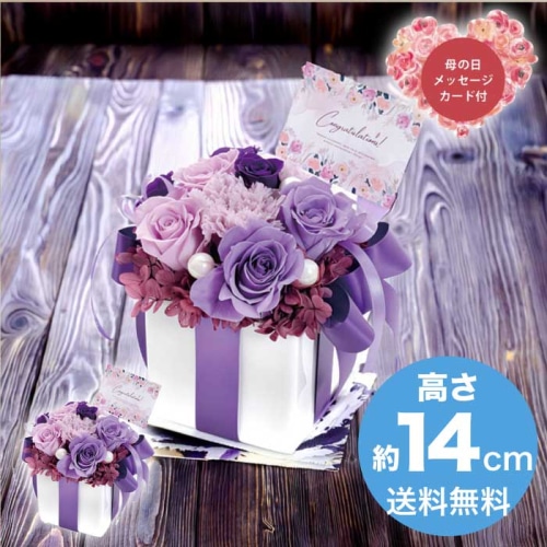 [直送商品]母の日 5/8-10お届け アークフラワースタジオ プリザーブドフラワー ネルケモーナット 【配送指定日不可】 (1852-036)