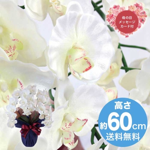 [直送商品]母の日 5/8-10お届け  アーティフィシャルフラワー大輪 胡蝶蘭３本立ち ホワイトイエロー 【配送指定日不可】 (1852-163)