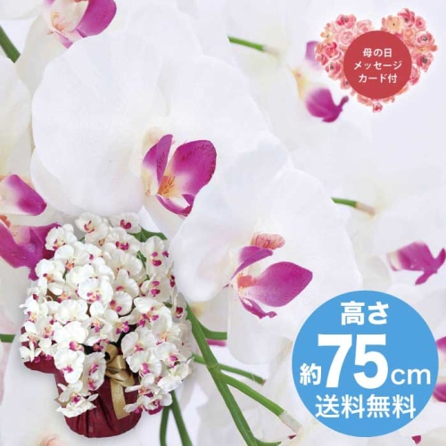 [直送商品]母の日 5/8-10お届け  アーティフィシャルフラワー 5本立ち胡蝶蘭 ホワイトビューティー 【配送指定日不可】 (1852-187)