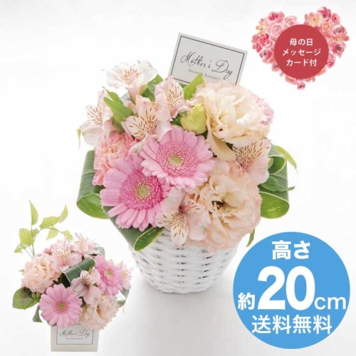 [直送商品]母の日 5/8-10お届け アークフラワースタジオ 生花ラウンドアレンジ 【配送指定日不可】 (1852-365)