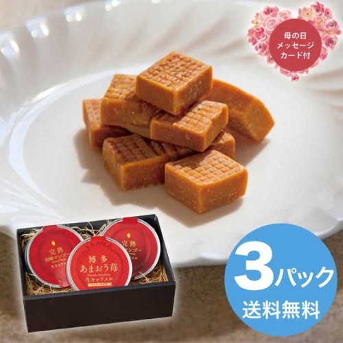 [直送商品]母の日 5/8-10お届け エルスト あまおう苺&宮崎完熟マンゴー 生キャラメル詰合せ 【配送指定日不可】 (1852-579)