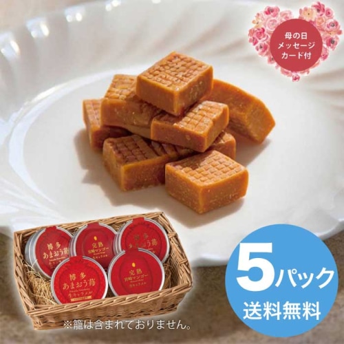 [直送商品]母の日 5/8-10お届け エルスト あまおう苺&宮崎完熟マンゴー 生キャラメル詰合せ 【配送指定日不可】 (1852-581)