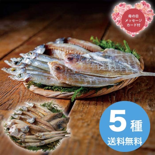 [冷凍][直送商品]母の日 5/8-10お届け エルスト 山陰海鮮一夜干しセット 【配送指定日不可】 (1852-808)