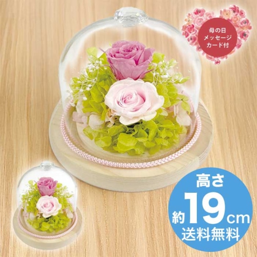 [直送商品]母の日 5/8-10お届け スープ ジュエルガラスドーム ピンク 【配送指定日不可】 (1853-608)