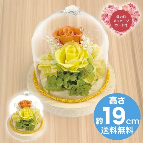 [直送商品]母の日 5/8-10お届け スープ ジュエルガラスドーム オレンジ 【配送指定日不可】 (1853-610)