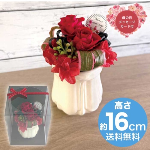 [直送商品]母の日 5/8-10お届け スープ プリザーブドフラワーアレンジメント パルフェ レッド 【配送指定日不可】 (1853-672)