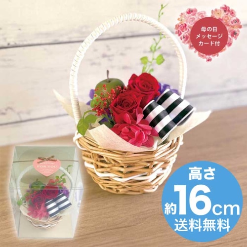 [直送商品]母の日 5/8-10お届け スープ ギフトアレンジメント ジャルダン レッド 【配送指定日不可】 (1853-711)