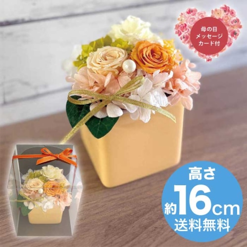 [直送商品]母の日 5/8-10お届け スープ ギフトアレンジメント エクラン オレンジ 【配送指定日不可】 (1853-761)