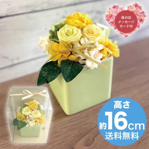 [直送商品]母の日 5/8-10お届け スープ ギフトアレンジメント エクラン イエロー 【配送指定日不可】 (1853-773)
