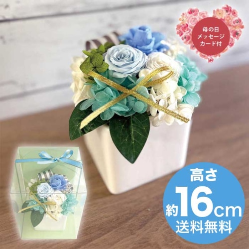 [直送商品]母の日 5/8-10お届け スープ ギフトアレンジメント エクラン ブルー 【配送指定日不可】 (1853-785)