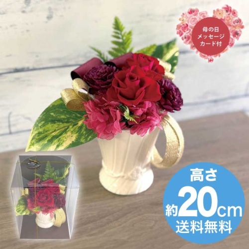 [直送商品]母の日 5/8-10お届け スープ ギフトアレンジメント プラージュ レッド 【配送指定日不可】 (1853-797)