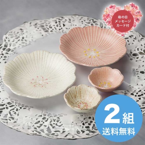 [直送商品]母の日 5/8-10お届け はなこまち ハレのひセット 【配送指定日不可】 (1854-698)