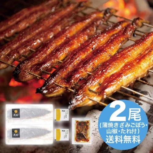 [冷凍][直送10]お中元 鰻楽 九州産うなぎ蒲焼2尾＋蒲焼きざみごぼう入1袋 (1602-013)