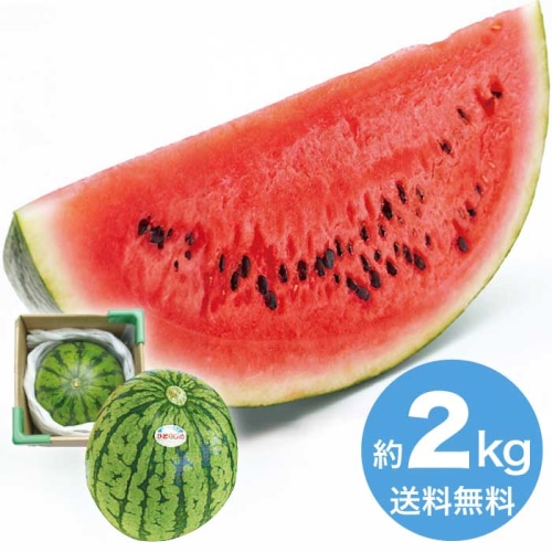 [直送10]お中元  いずみ会の山形県産 尾花沢小玉すいか 1玉 【7月中旬以降順次発送】【配送指定日不可】 (1628-017)