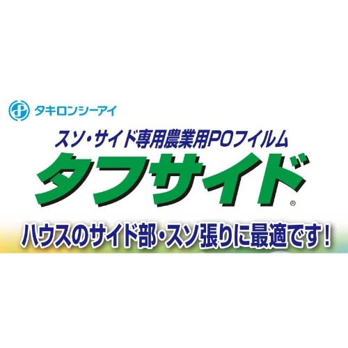 タフサイド [100m巻]