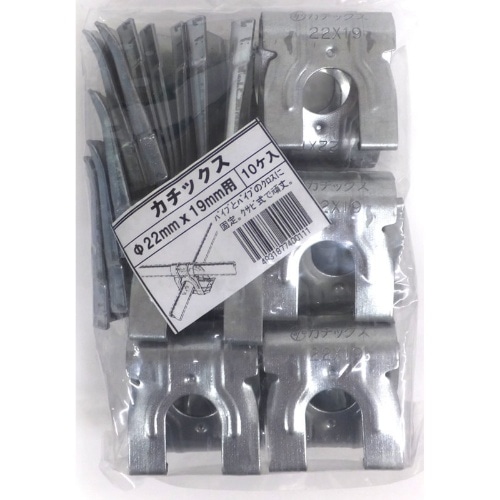 カチックス [10個]