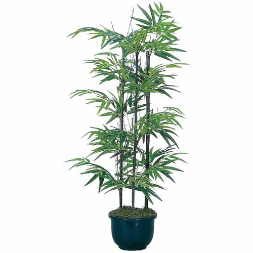 酸化チタン光触媒 黒竹 H100