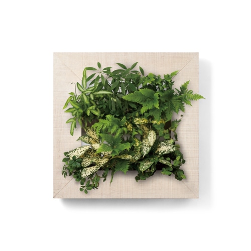 マイギャラリー M （プランター2段）