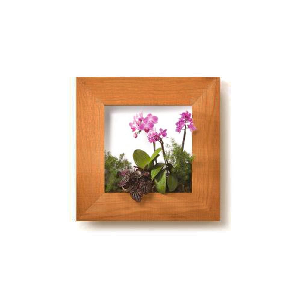 マイギャラリー M （フラワー）