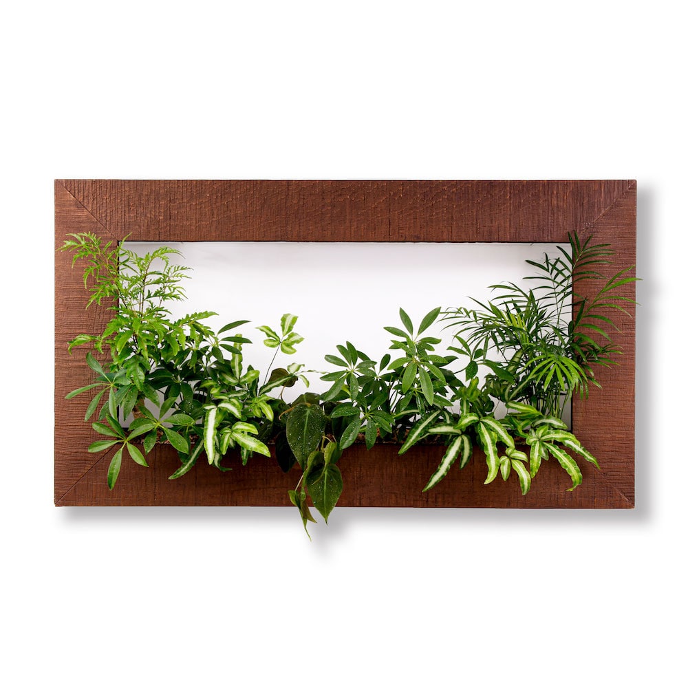 マイギャラリー L （ベーシック）