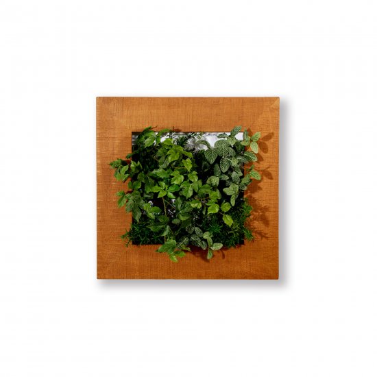 マイギャラリー M （プランター2段/フェイクグリーン）