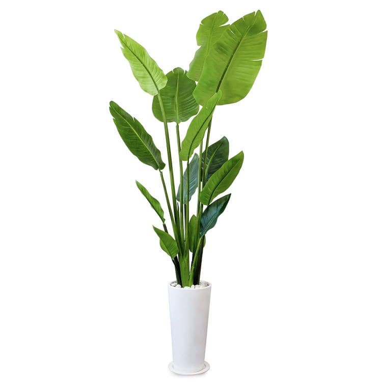 ストレチア 皿付スリムプランター 高さ155cm(フェイクグリーン)