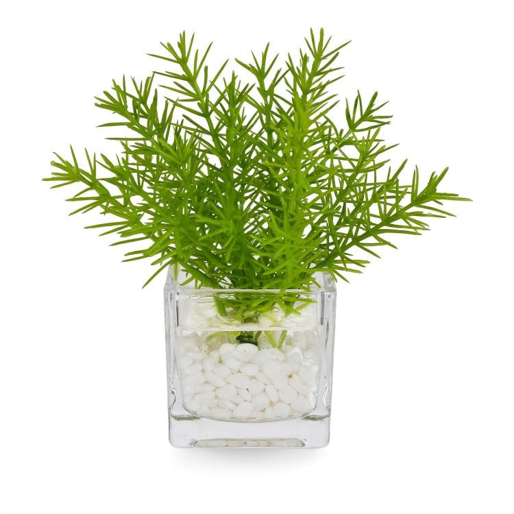 ミリオン ウォーターキューブ(フェイクグリーン)