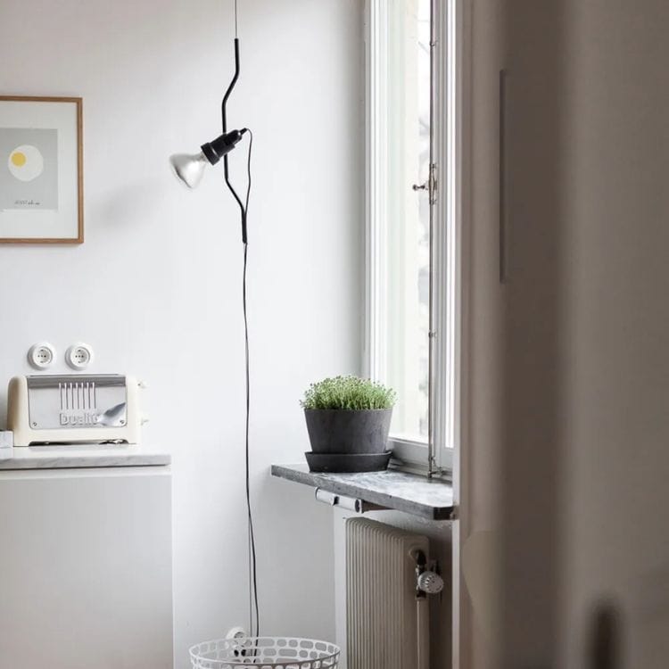 パレンテージ D