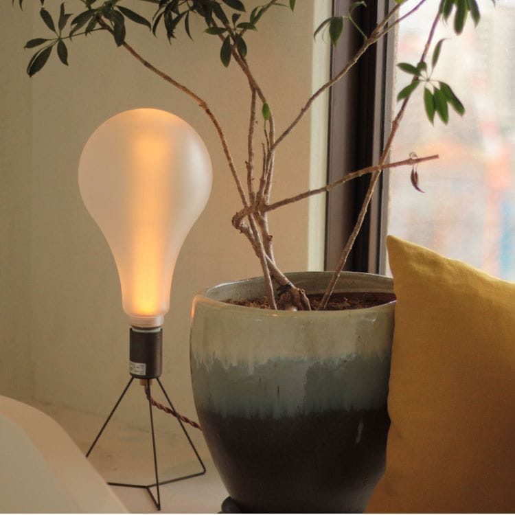 ノスタルジア　LED電球(フロスト ビッグ)