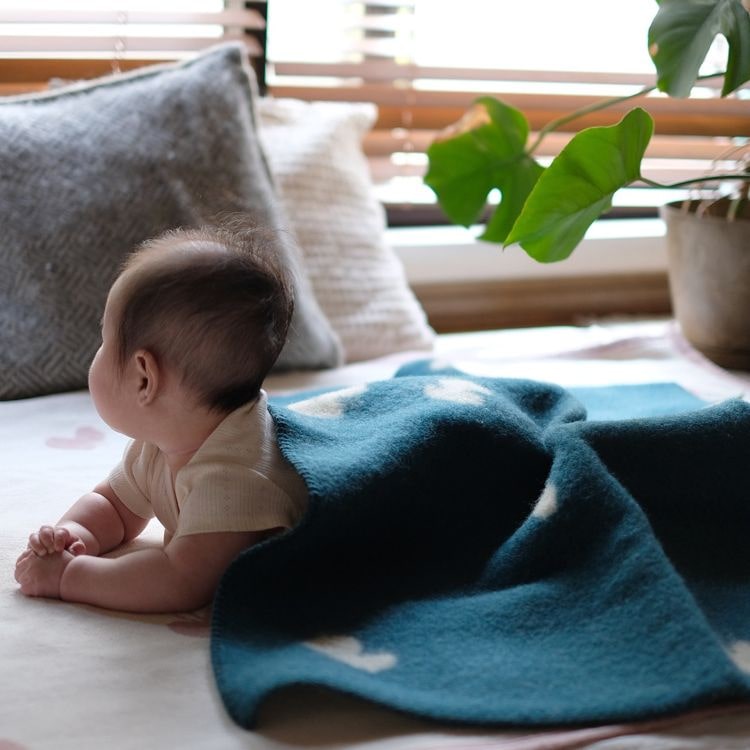 クリッパン ウール ミニブランケット(CHOUCHO　ブルーグリーン)