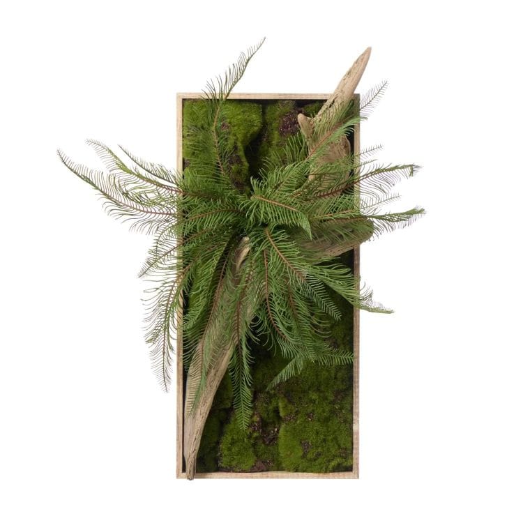 流木 苔フレーム　シダ(フェイクグリーン)