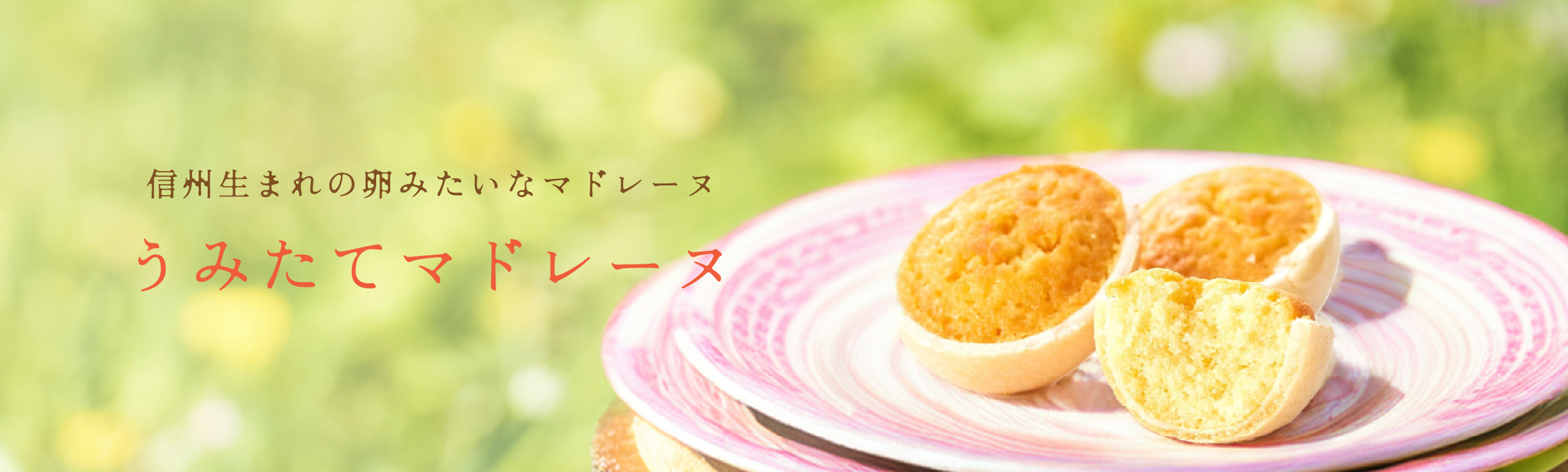 うみたてマドレーヌ