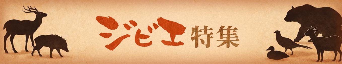 ジビエ特集