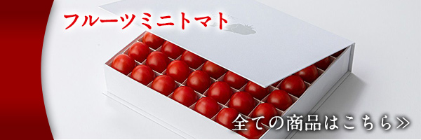 フルーツミニトマト