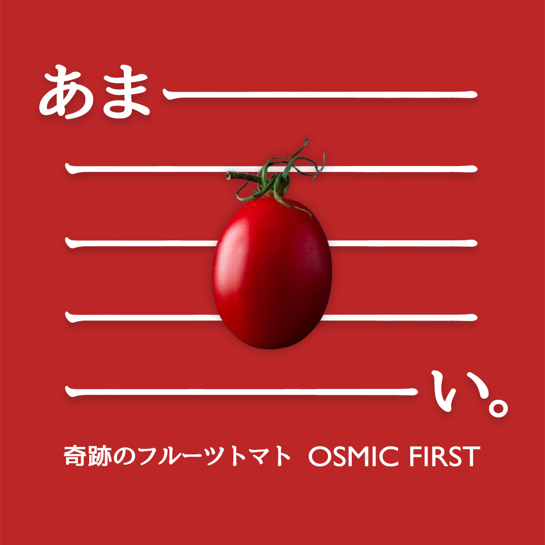 OSMICトマト特集
